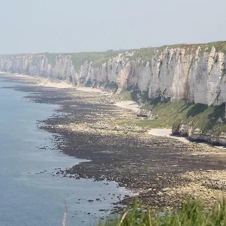 Le Relais Du Hibou * Vittefleur
