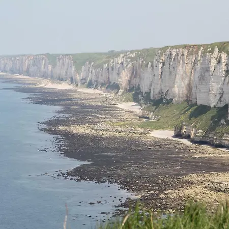 Le Relais Du Hibou * Vittefleur