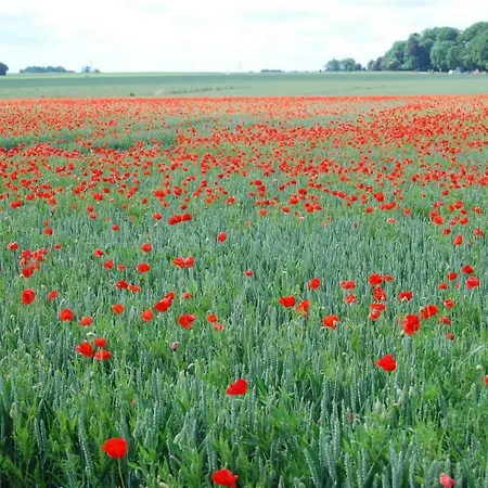 Apartment Le Relais Du Hibou Vittefleur